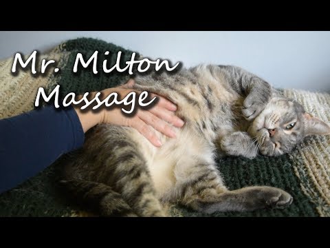 Mr. Milton Massage