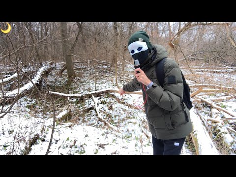 ASMR IN THE WOODS