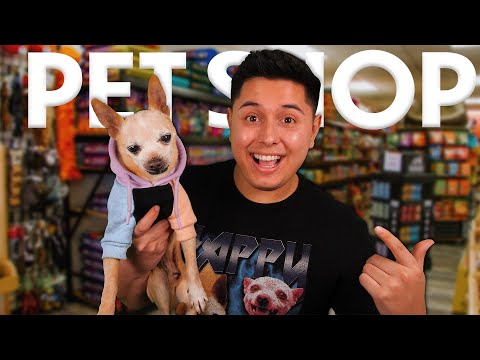 ASMR | The Friendliest Pet Shop in Town | Selling you my Dog