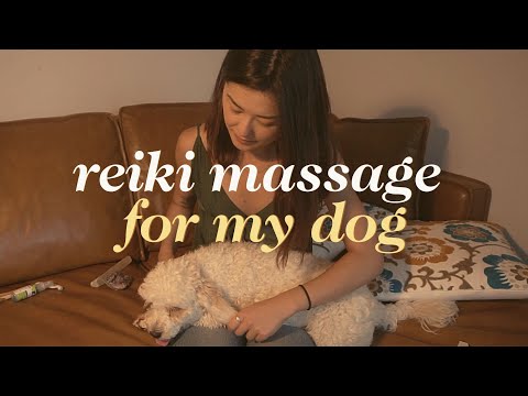 ASMR Reiki Healing Massage on My Dog 🌙✨ (Grooming, Massage, Crystal)