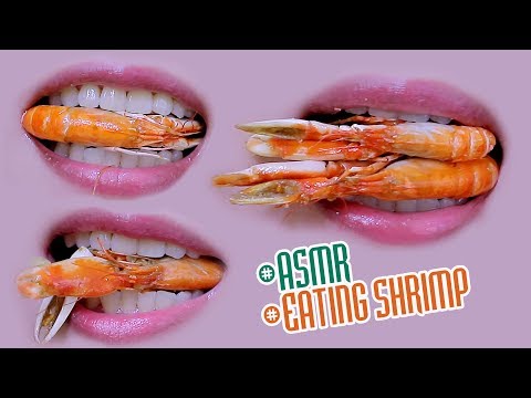 ASMR Eating lips focus Fried mini shrimps , Crunchy eating sounds +食べる,咀嚼音,먹방이팅 | LINH-ASMR