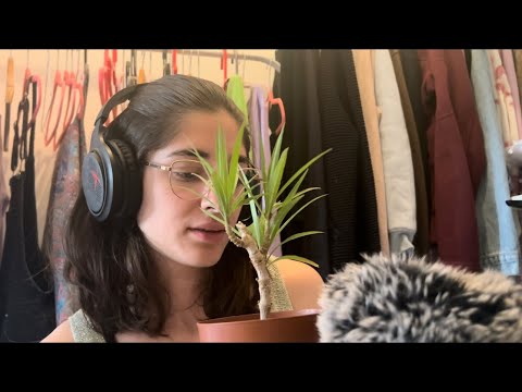 ASMR plant collection 💚🌱