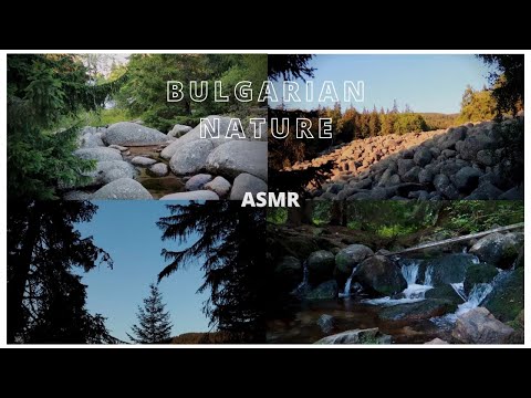 ASMR Nature Walk in Bulgaria, Vitosha Mountain🌲🏞️ Soft Spoken