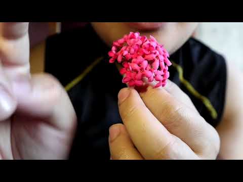 ASMR FLOWER THERAPY SESSION