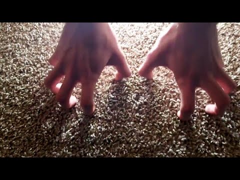 ASMR - Carpet and couch scratching