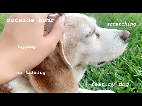 lofi ASMR: 5 minute outside (no talking) tapping and scratching