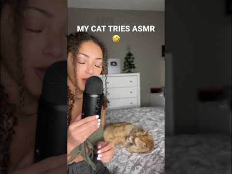 my cat tries ASMRhe wants to be an asmrtist. Always out here interrupting my videos 🤣 #shorts #asmr