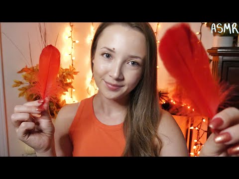 ASMR May I Tickle You? ✨personal attention triggers✨