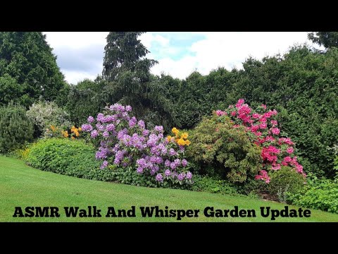 ASMR Walk And Whisper-Garden Update