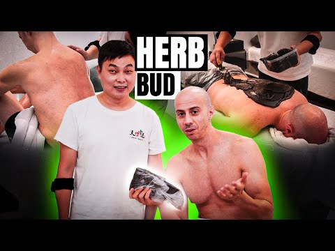 Traditional Chinese Medicine: Relaxing Head & Back Massage with Herb Mugs | ASMR Journey