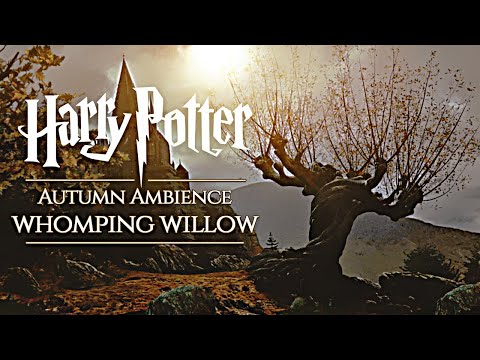 Hogwarts Autumn 🍂 Whomping Willow ◈ Harry Potter inspired Ambience ◈ Rain Showers & Soft Music