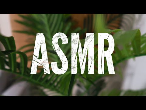 ASMR | Tapping & Scratching on Random Objects + Slow Hand Movements