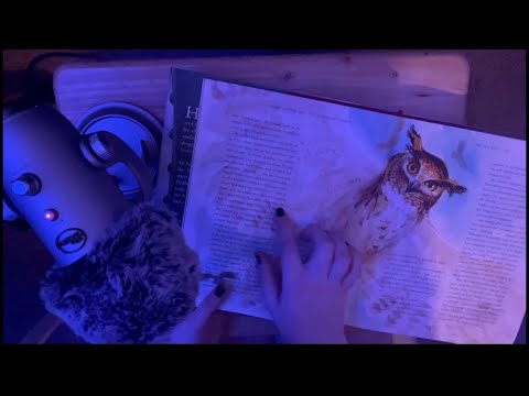 ASMR - Reading You Harry Potter! 🦉🖤 (Whispers, Tapping, & Tracing)