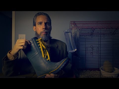 How To Care for a Pet Boot | ASMR