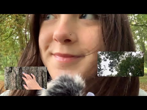 Autumn asmr triggers // public asmr // leaves, trees, walking in the woods and build up tapping