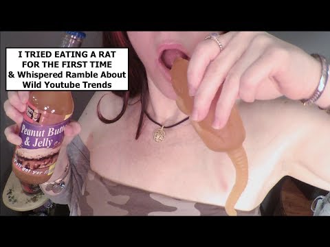 ASMR Eating a Rat for the First Time w/ PBJ Soda. YouTube Trends