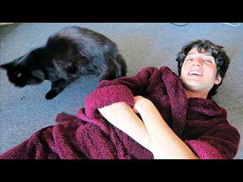 ASMR with a Kitten (Fail)