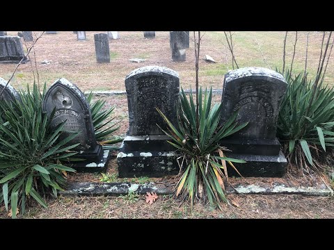 Scary Story ASMR // I Went to a Cemetery