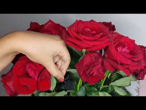 ASMR - TRIGGERS IN BOUQUET OF RED ROSES. (NO TALKING).