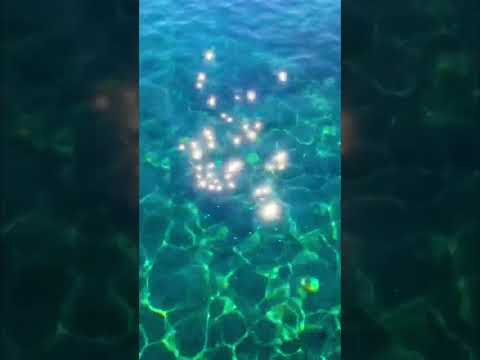 ASMR Sunlight Sparkles on Crystal Clear Waters 💧🌟💙