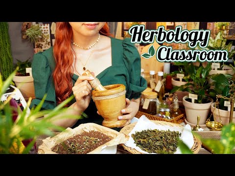 ASMR Witch’s Herbal Magic🌱 Herbology Classroom