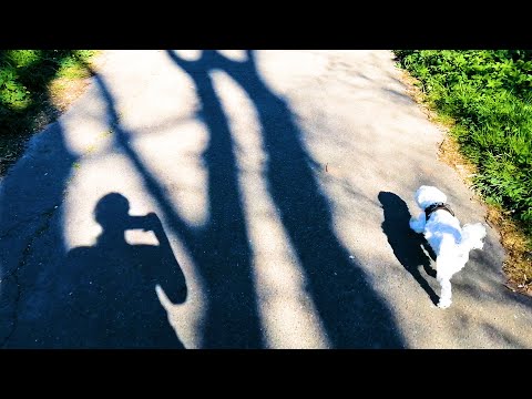ASMR Nature sounds (walking my dog)