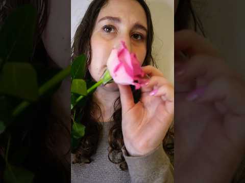 Personal Attention with a Rose 🩷 #asmr #asmrsleep #relax #rose #shorts