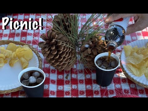 ASMR Picnic at Eagle Lake! (Soft Spoken) Chipmunks & water & food! Oh my! (A bit of mild chewing)