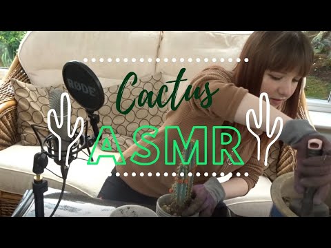 🌵 Caring for Cacti 🌵 ASMR (Soft Spoken, Brushing, Tapping, Crunchy Sand/Soil)