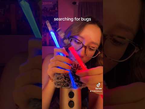 ASMR | searching for bugs