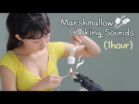 ASMR 🧁 1HOUR Marshmallow Cooking Sounds 🔥 타닥타닥 마시멜로 굽는 소리 1시간 🔥