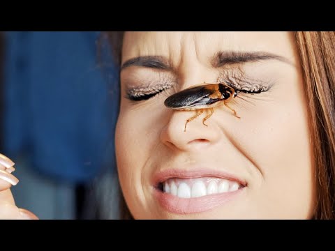 🐞🐜 Soft Whispering! Binaural! Cockroach — What Name Should We Give Her? ASMR Gina Carla