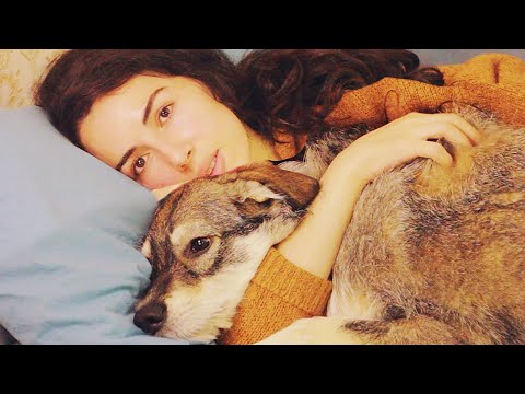 ASMR Sleep With Me And Muly 🌙 Telling You My Dream - ASMR Lucid Dreaming asmr dog 🐕
