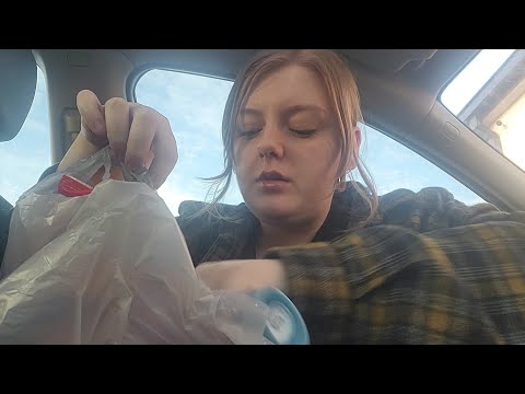 ASMR- Dollar Tree Haul in My Car (Personal Attention Triggers and Rambling)