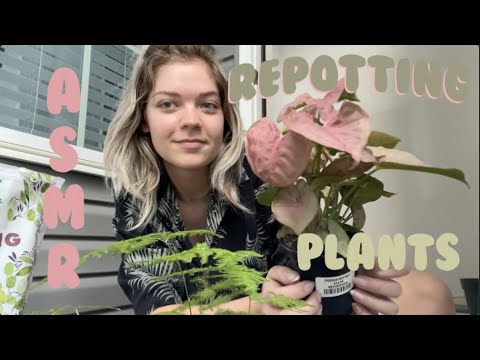 Plant chore ASMR 🌱 {repotting} 🪴 & therapy ramble about work/ care coaching