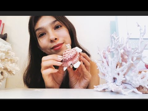 [ASMR Roleplay]Sally’s Seashell Stand🐚 (Summer Special☀️)