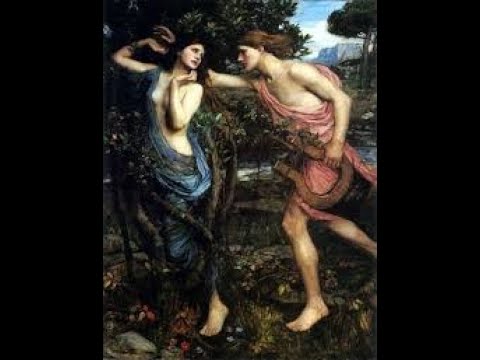 Mitología || Apolo y Dafne; Príamo y Tisbe; Céfalo y Procris || Asmr en español || Soft spoken