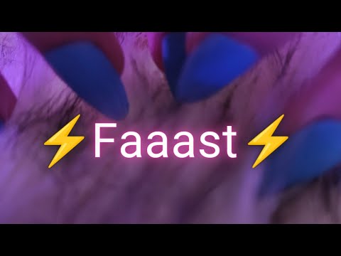 ASMR Fast and Aggressive Scurrying, Scratching to the Camera !!!!!⚡🤤💤 (Hair Brushing, No Talking)