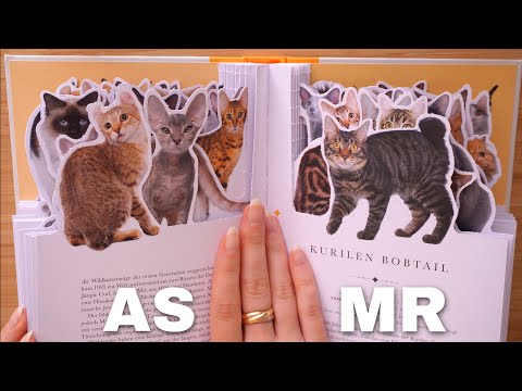 ASMR über Katzen 🐈 (detailed explaining)