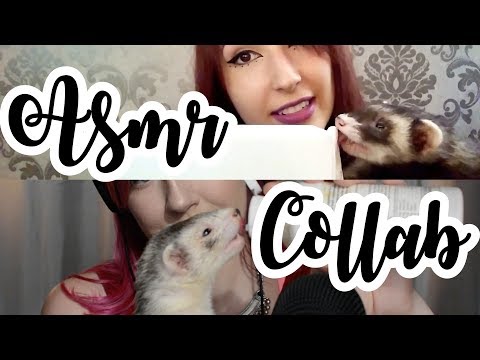 ASMR COLLAB! Ferret Kisses | Whispered | Kissing | Licking | Cute