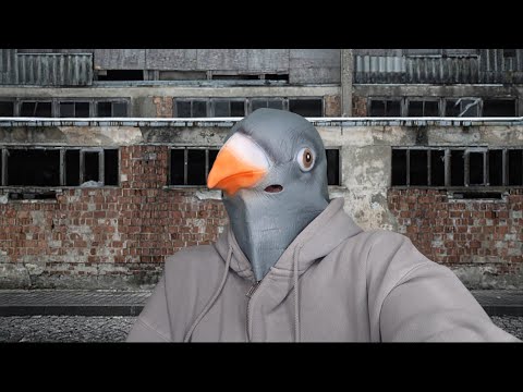 ASMR- Government Spy Pigeon Does Your Makeup 🐦