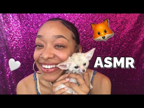 ASMR WITH A BABY FENNEC FOX 🦊🤍