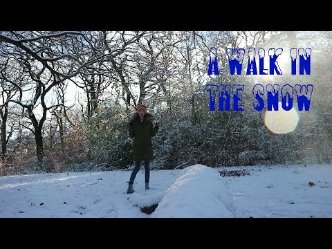 A Walk in the Snow (ASMR)
