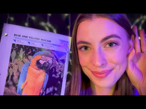 ASMR CLOSE Your EYES and Listen for The LIE (Bird Edition 🐦)