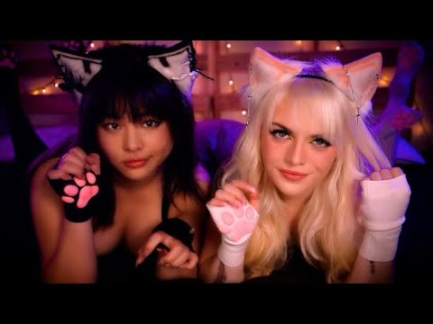 ASMR | Play 🎮 with the Cutest Gamer Cat Girlfriends! We Help You Feel Better After Losing... AGAIN!