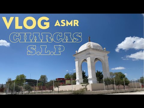 ASMR 💛 Viaje en carretera ✨ mouth sounds, triggers, tapping 💛 asmr para dormir