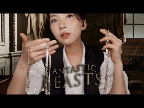 ASMR(🎵Music Ver.) Fantasic Beasts and Newt Scamander's Assistant