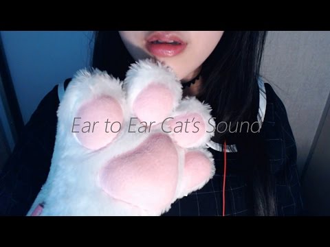 English ASMR 야옹야옹 미야오 냐냐  Ear to Ear Cat's Sound, Trigger words, Cat Girl