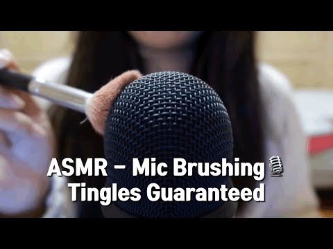 ASMR - Mic Brushing No Talking Tingles Guaranteed