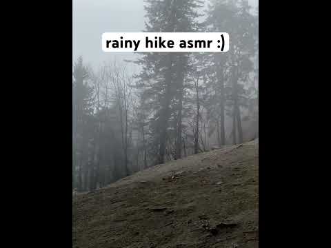 it is so gorgeous here!! #asmr #outdoorasmr #rainasmr